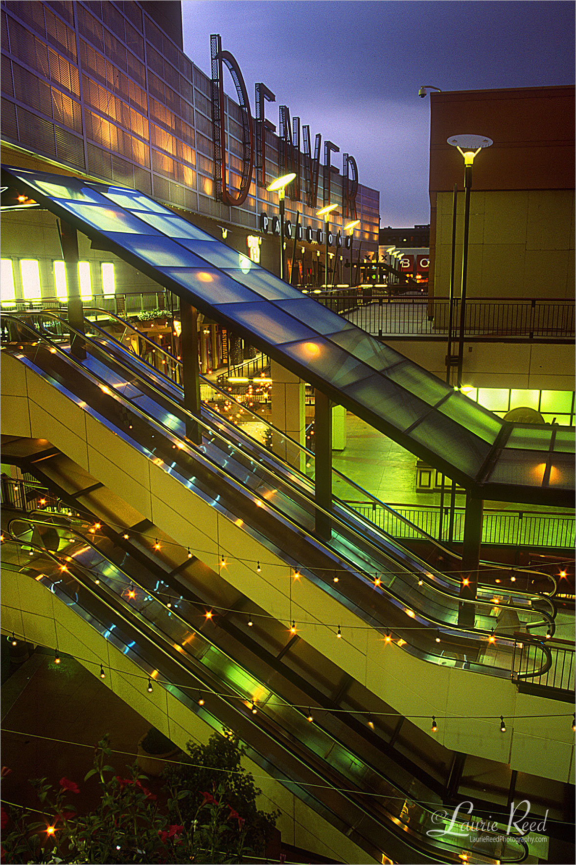 Denver, CO - © Laurie Reed Photography