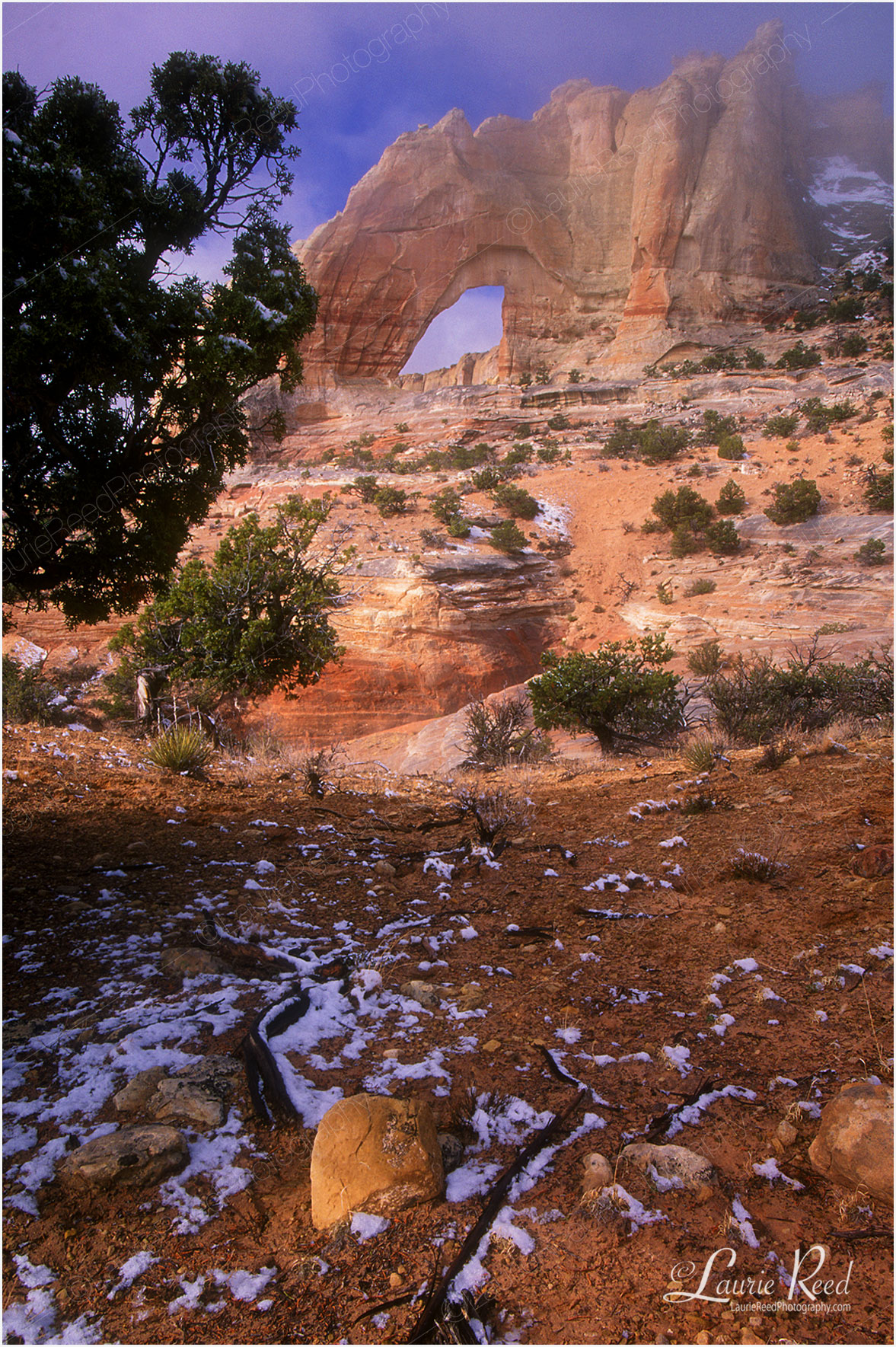 © Laurie Reed Photography - White Mesa Arch - Arizona