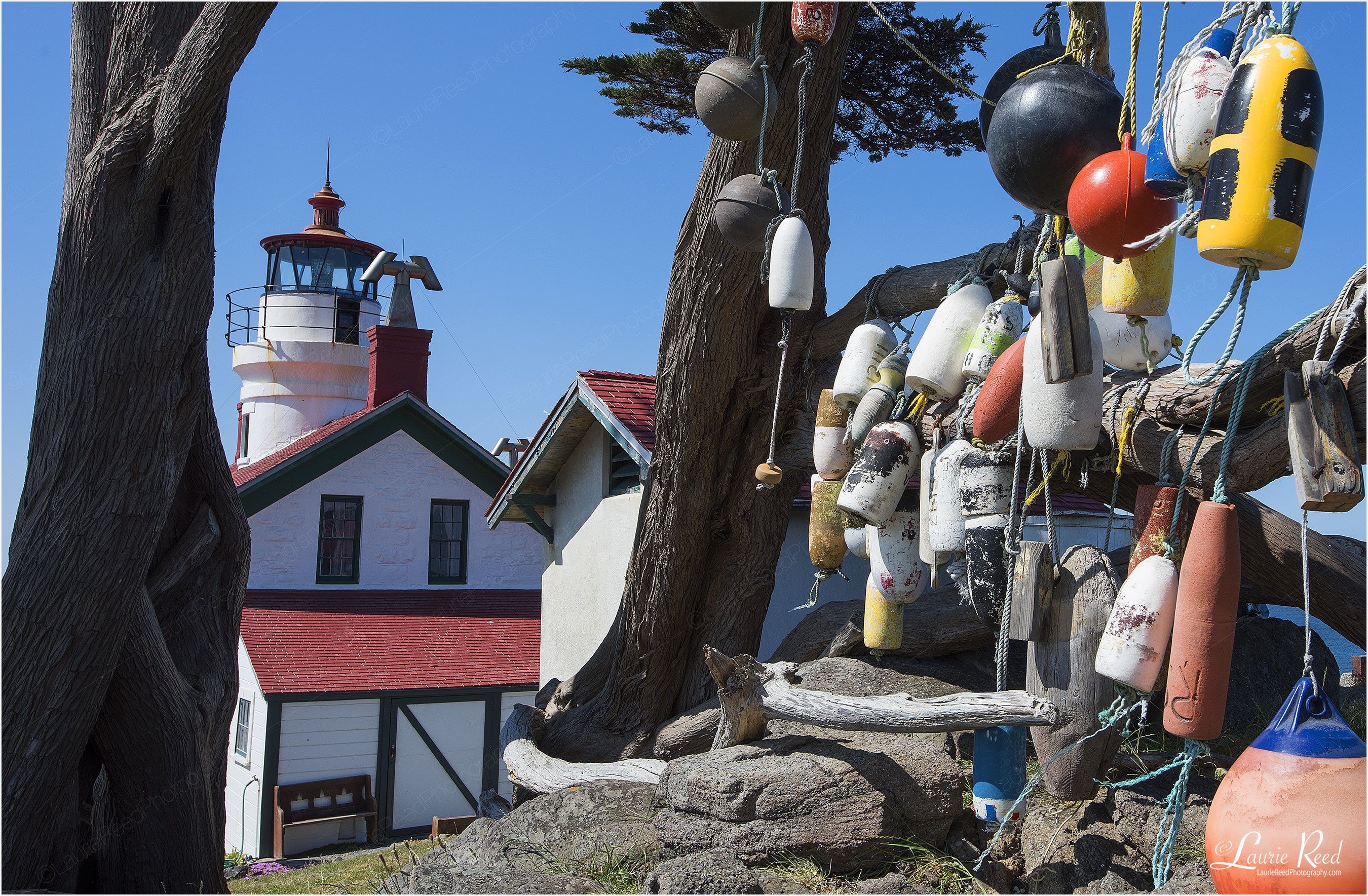 Lighthouse Buoys - © Laurie Reed Photography