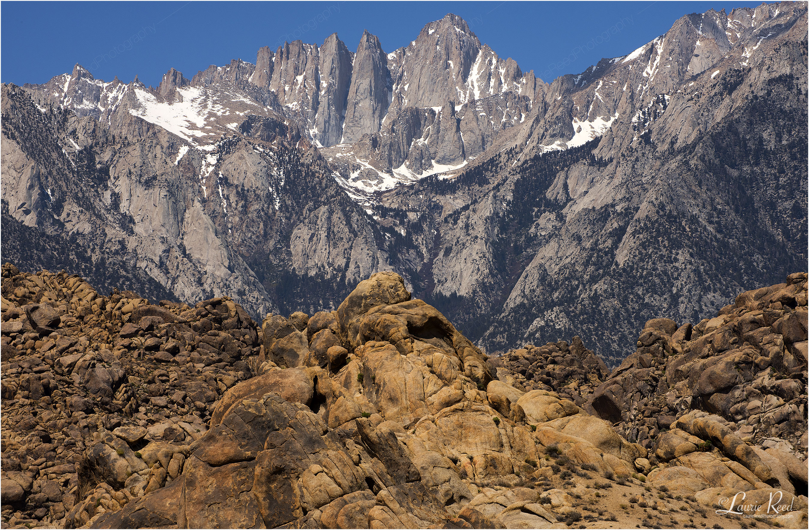 Mt Whitney & Boulders - © Laurie Reed Photography