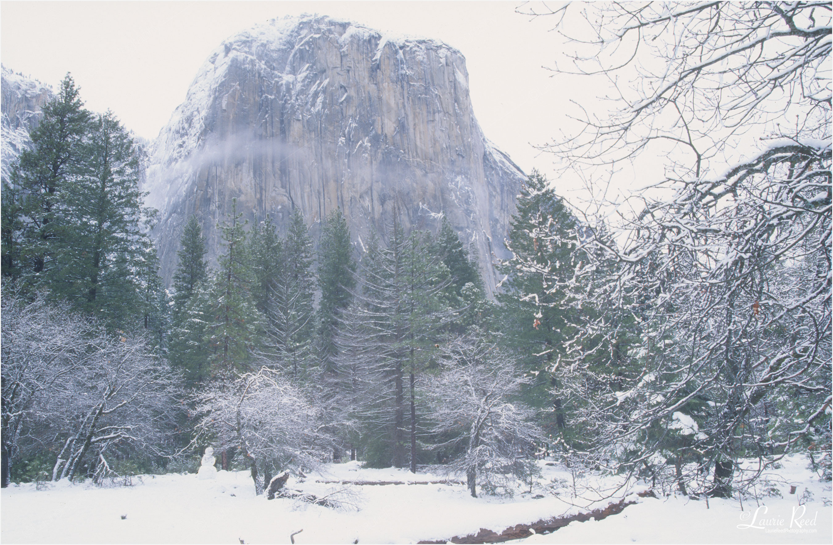 Snowy Yosemite - © Laurie Reed Photography