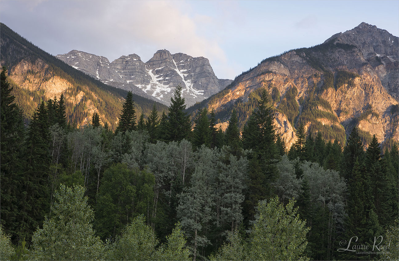 Mount Robson Area - © Laurie Reed Photography