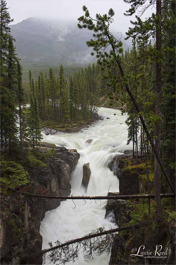 Sunwapta Falls - © Laurie Reed Photography