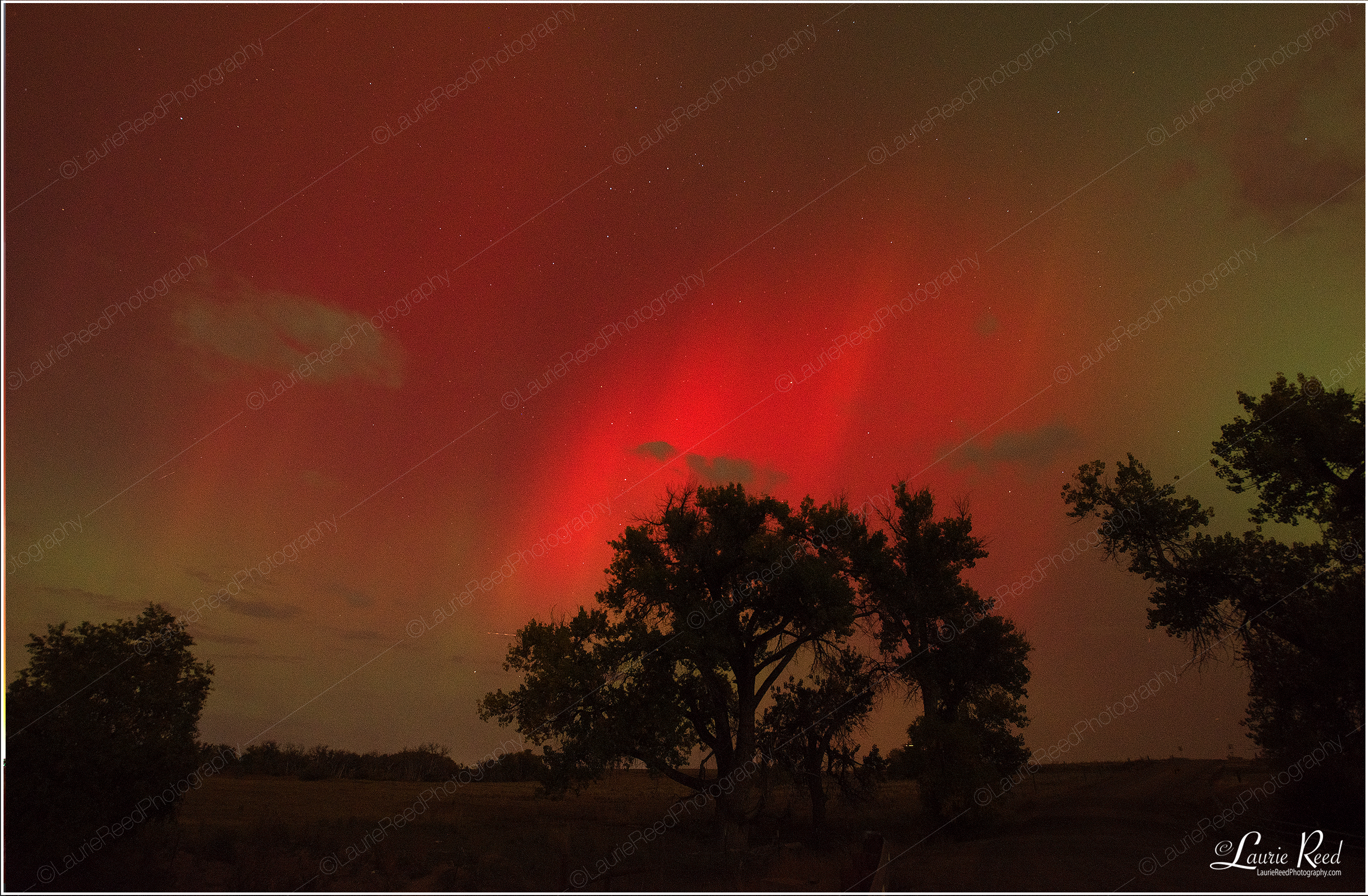 Aurora Borealis - 1498 © Laurie Reed Photography