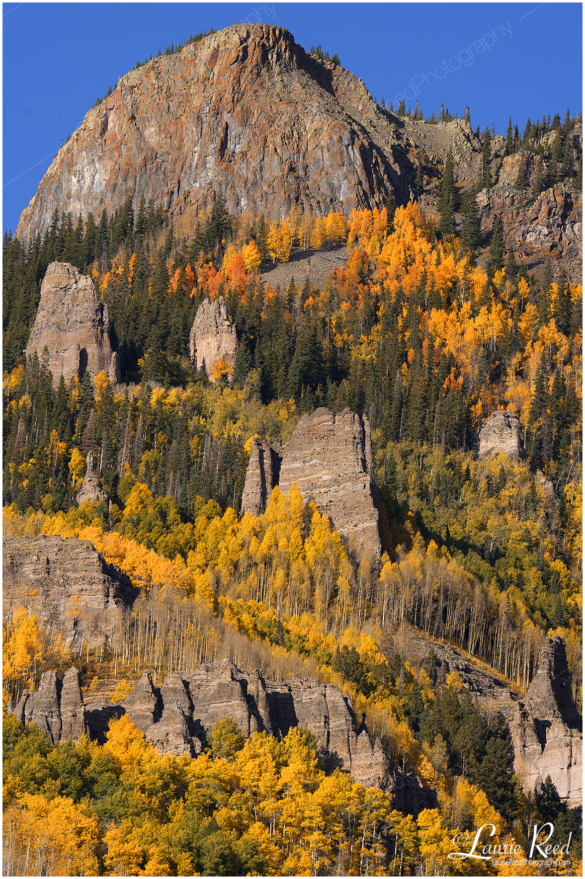 Campview-3665 © Laurie Reed Photography