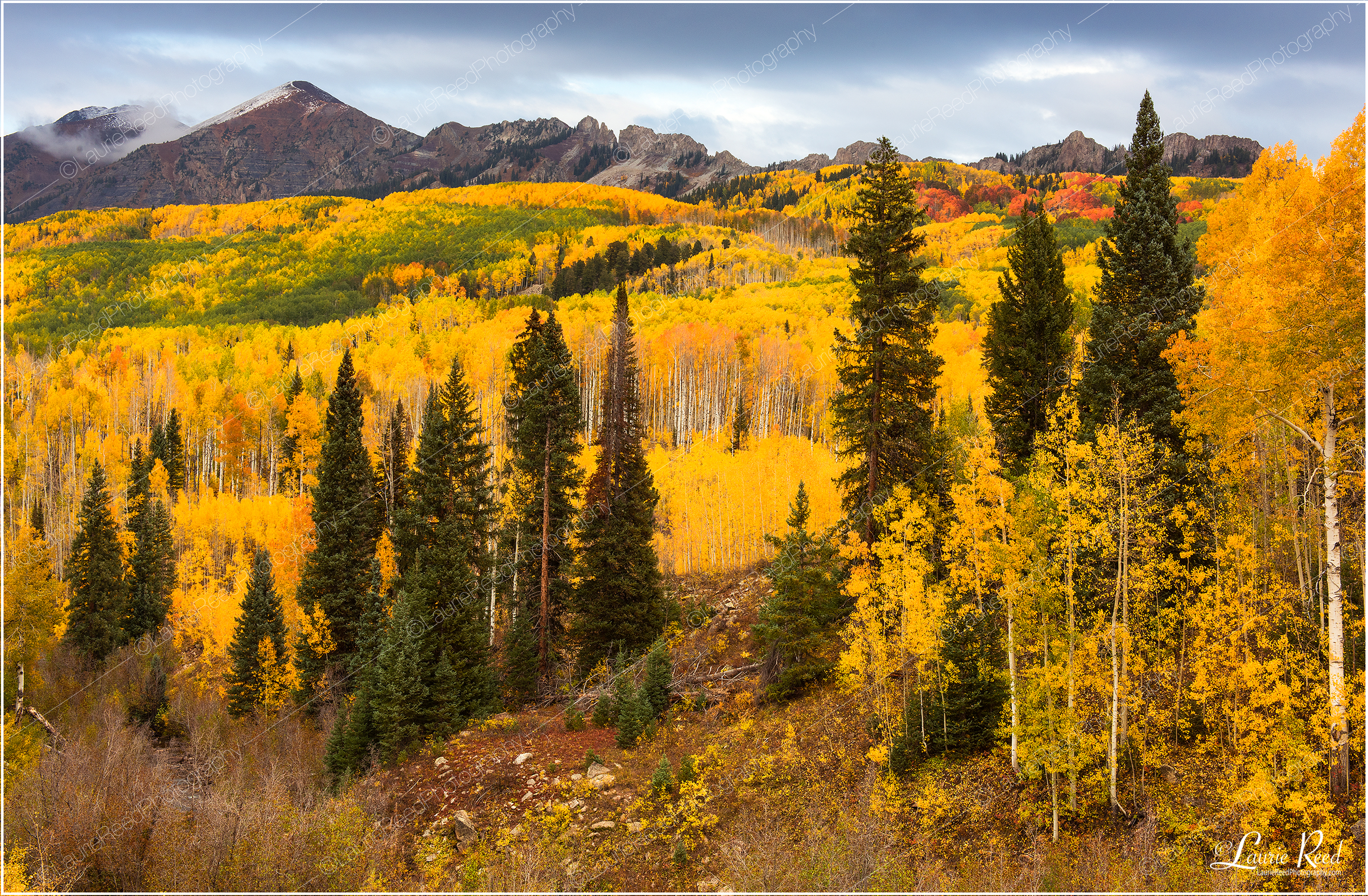 Kebler Overlook Fall-2888 © Laurie Reed Photography
