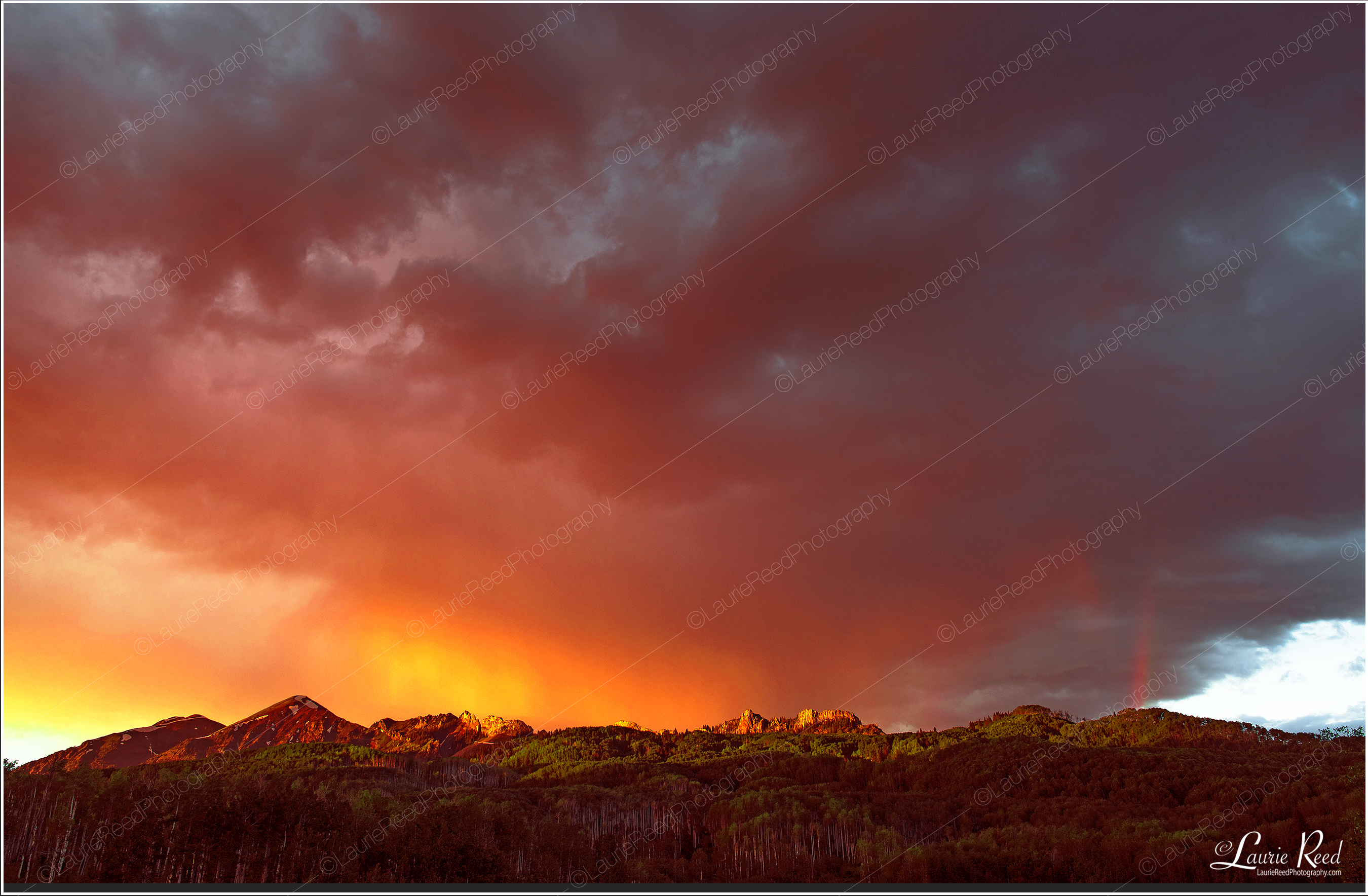 Kebler Pass &middot; Crested Butte &middot; 5582© Laurie Reed Photography