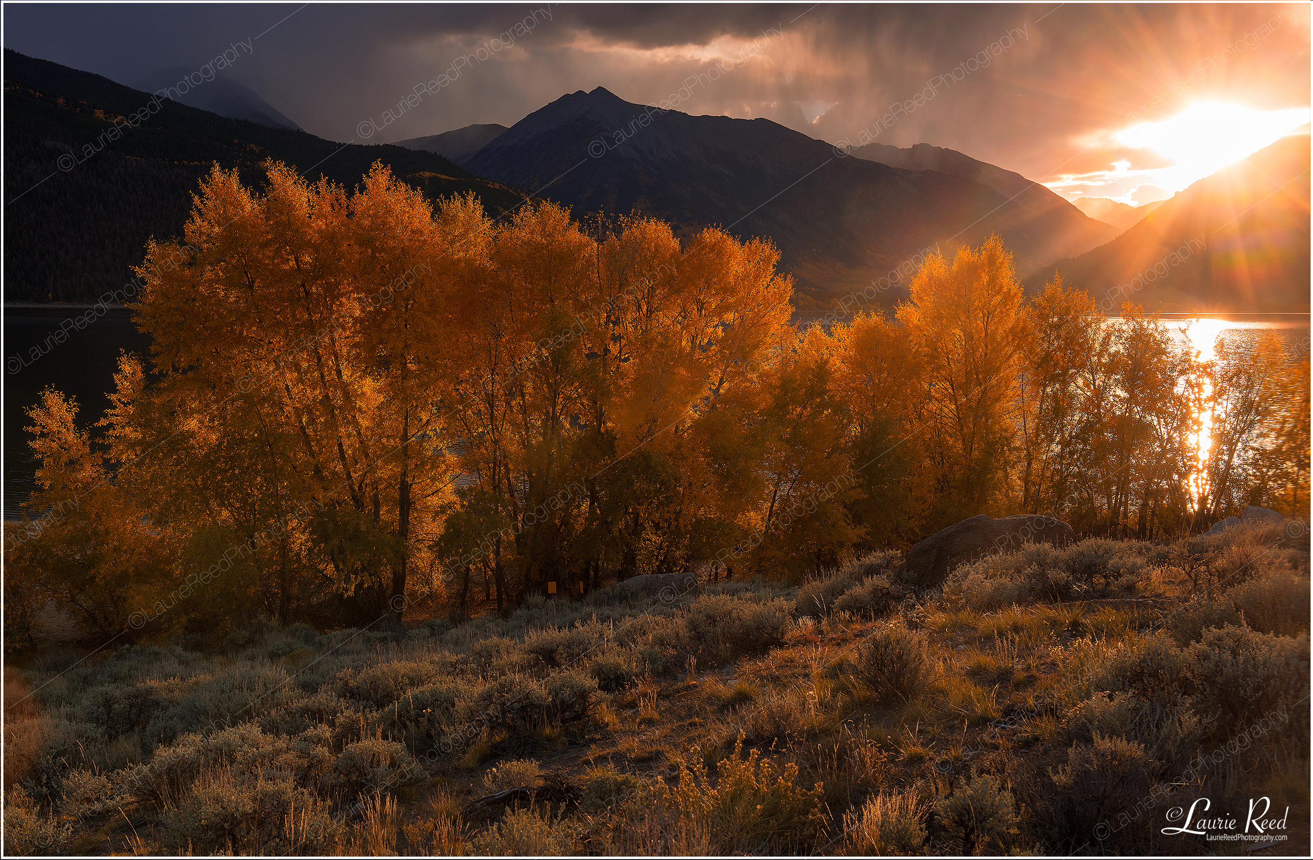 Twin Lakes Fall Sunburst-DSC_4121-Crop © Laurie Reed Photography