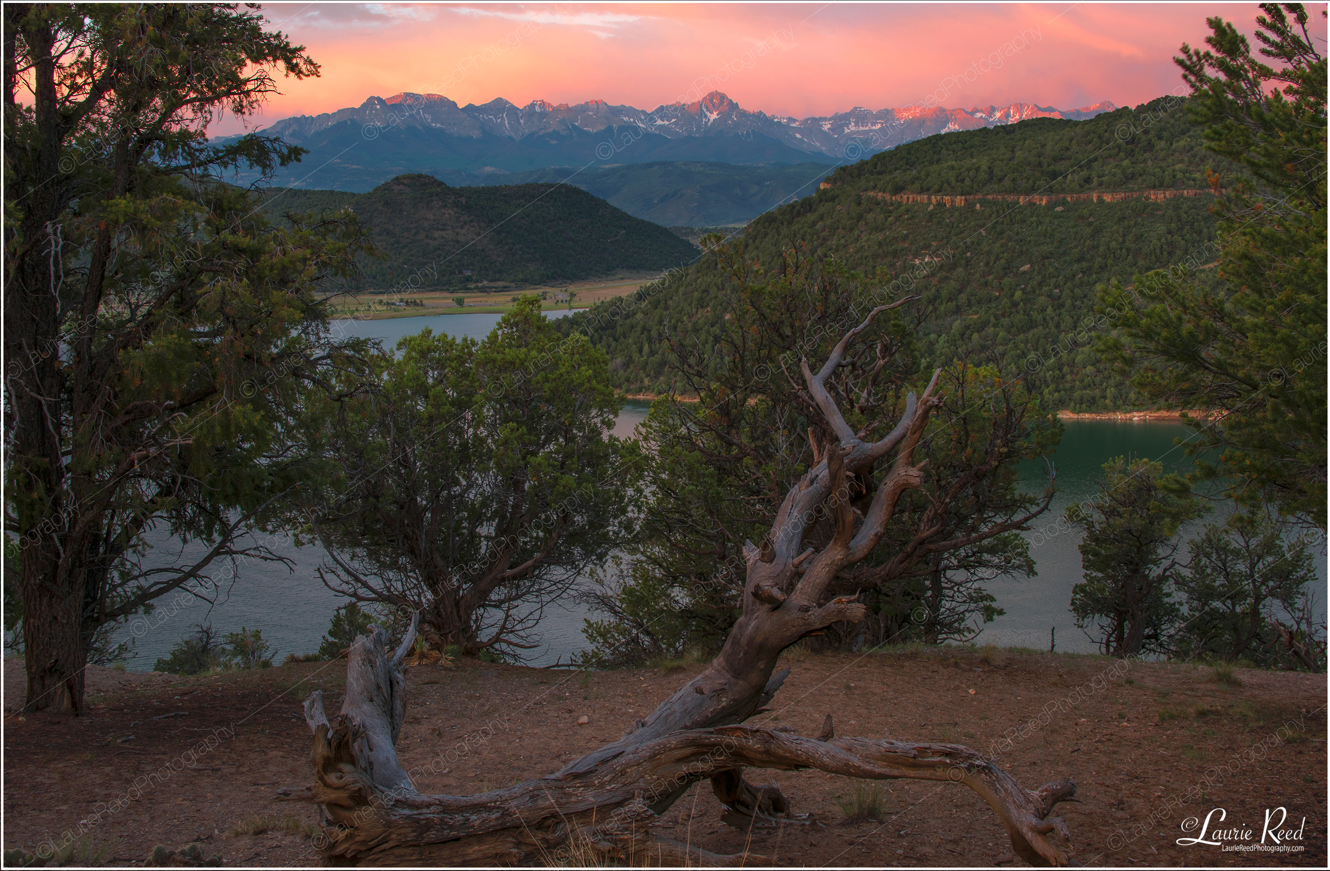 Sunrise Sneffels Range &middot; 0759 © Laurie Reed Photography