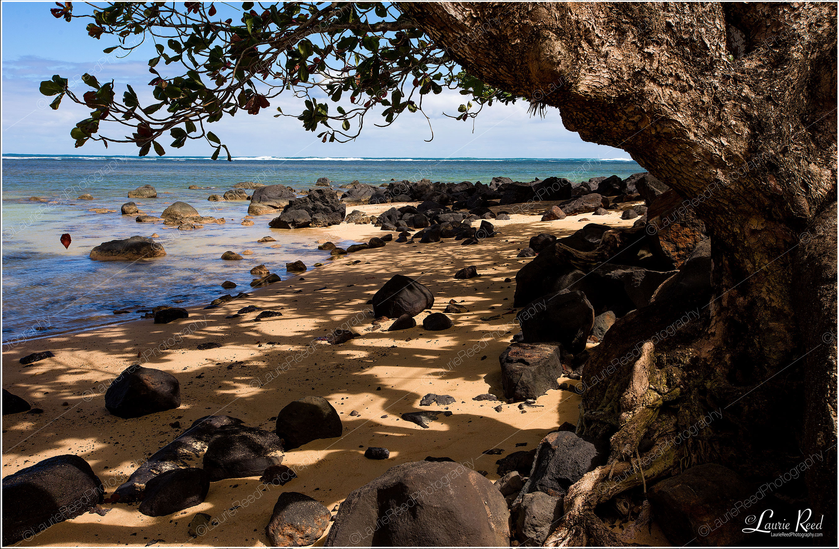 Anini Beach-Kauai-DSC_1495 © Laurie Reed Photography