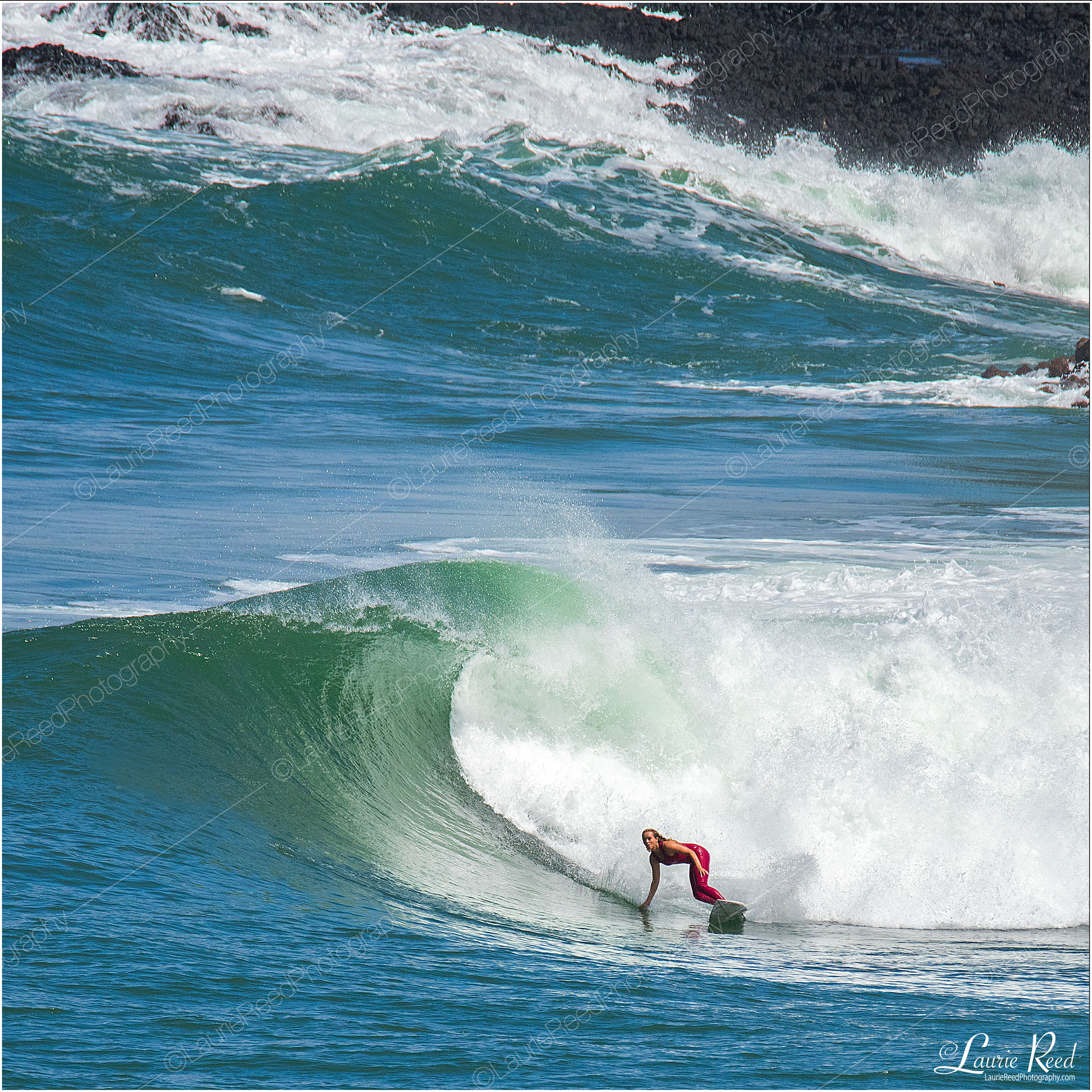 Surfs Up -DSC_1657-Crop2 © Laurie Reed Photography