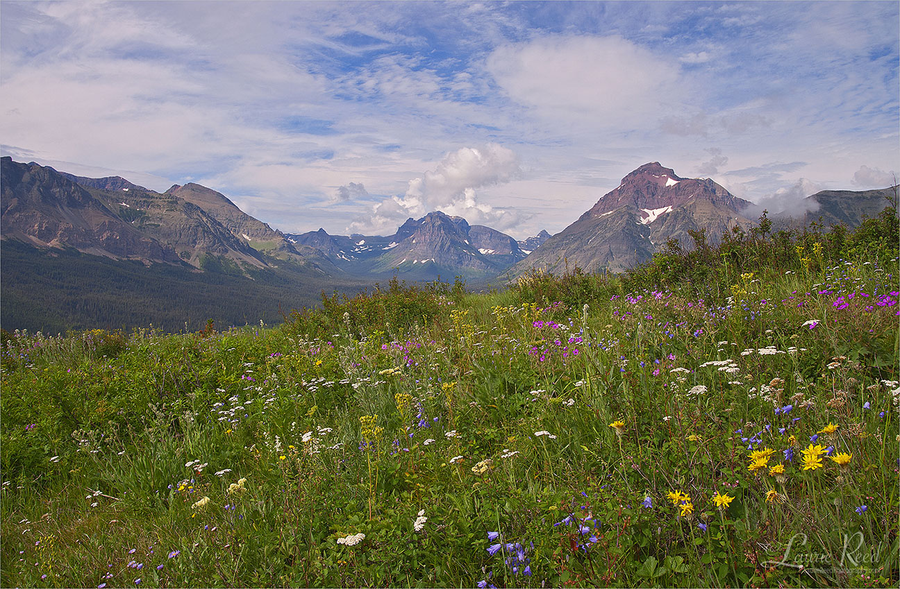 Glacier National Park - Two Medicine - © Laurie Reed Photography