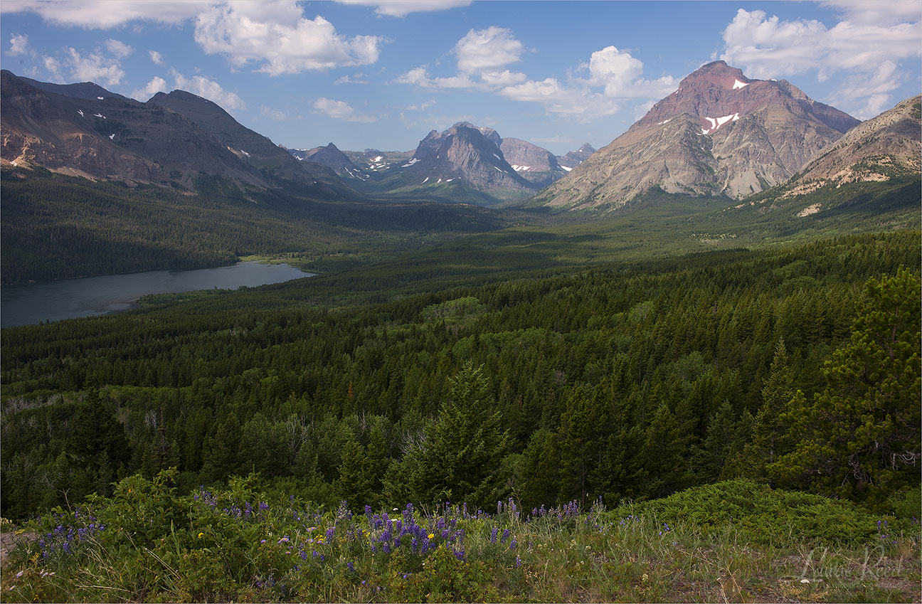 Two Medicine Lake - © Laurie Reed Photography