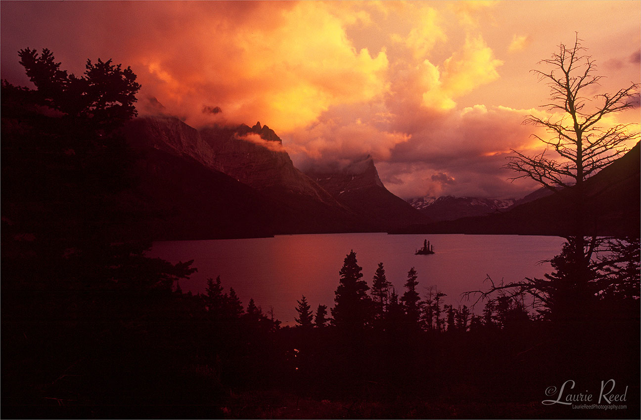 Wild Goose Island - © Laurie Reed Photography