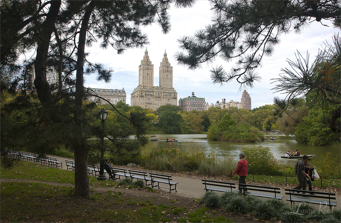 Central Park - © Laurie Reed Photography
