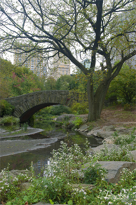 Gapstow Bridge - © Laurie Reed Photography