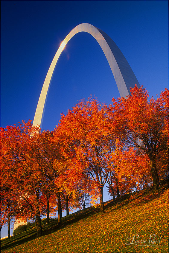 St. Louis Arch - © Laurie Reed Photography