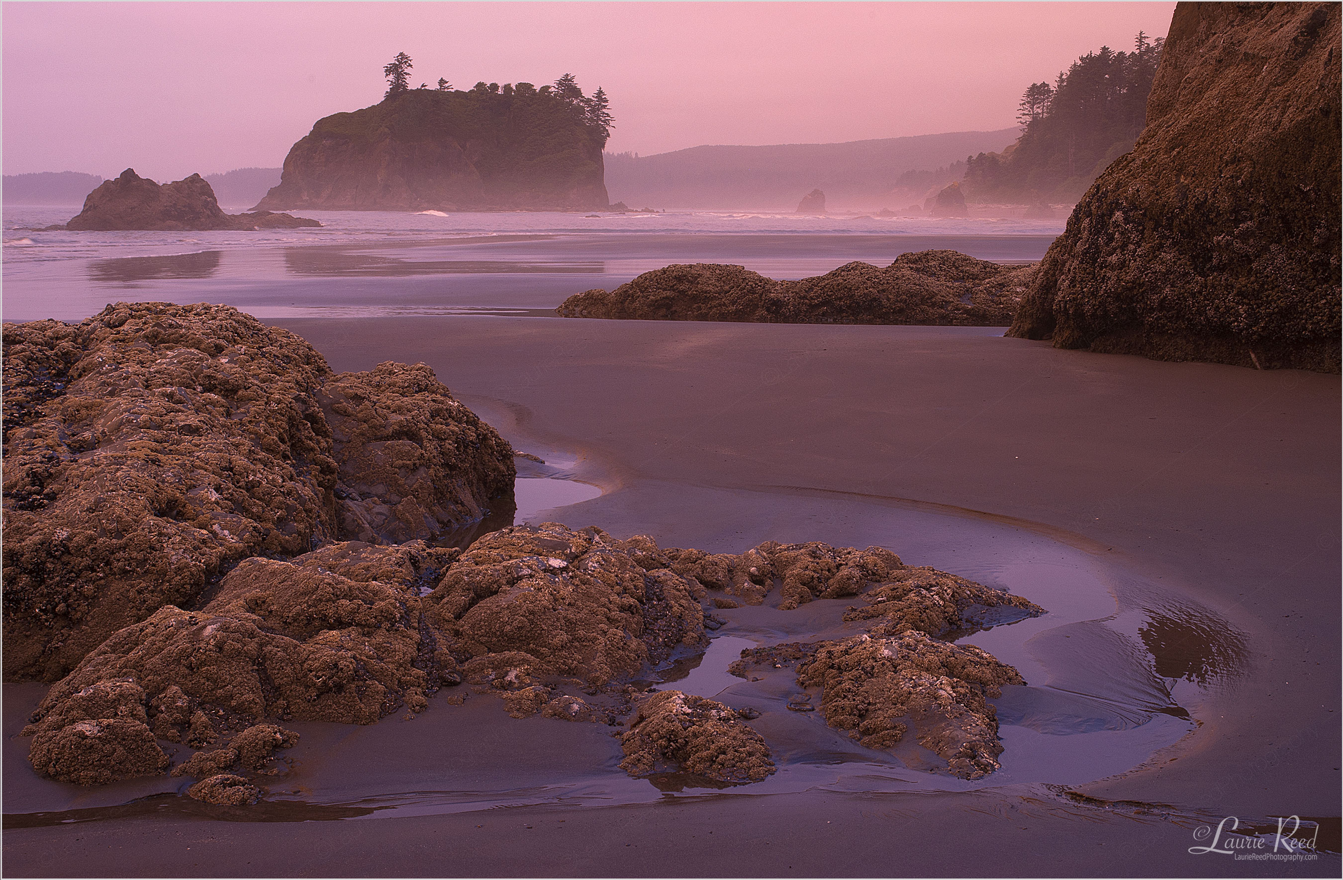 © Laurie Reed Photography - Ruby Beach