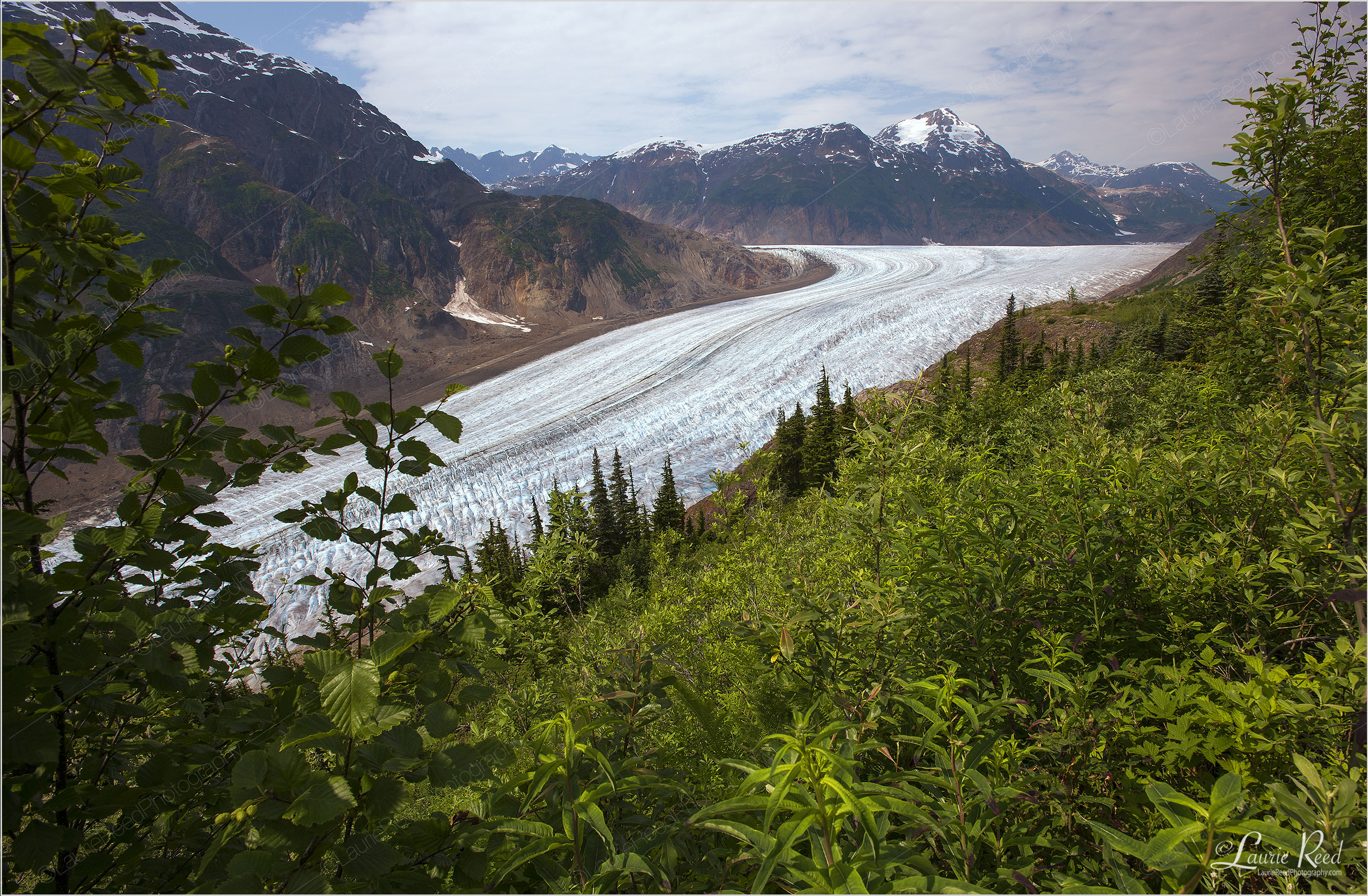 Salmon Glacier - © Laurie Reed Photography