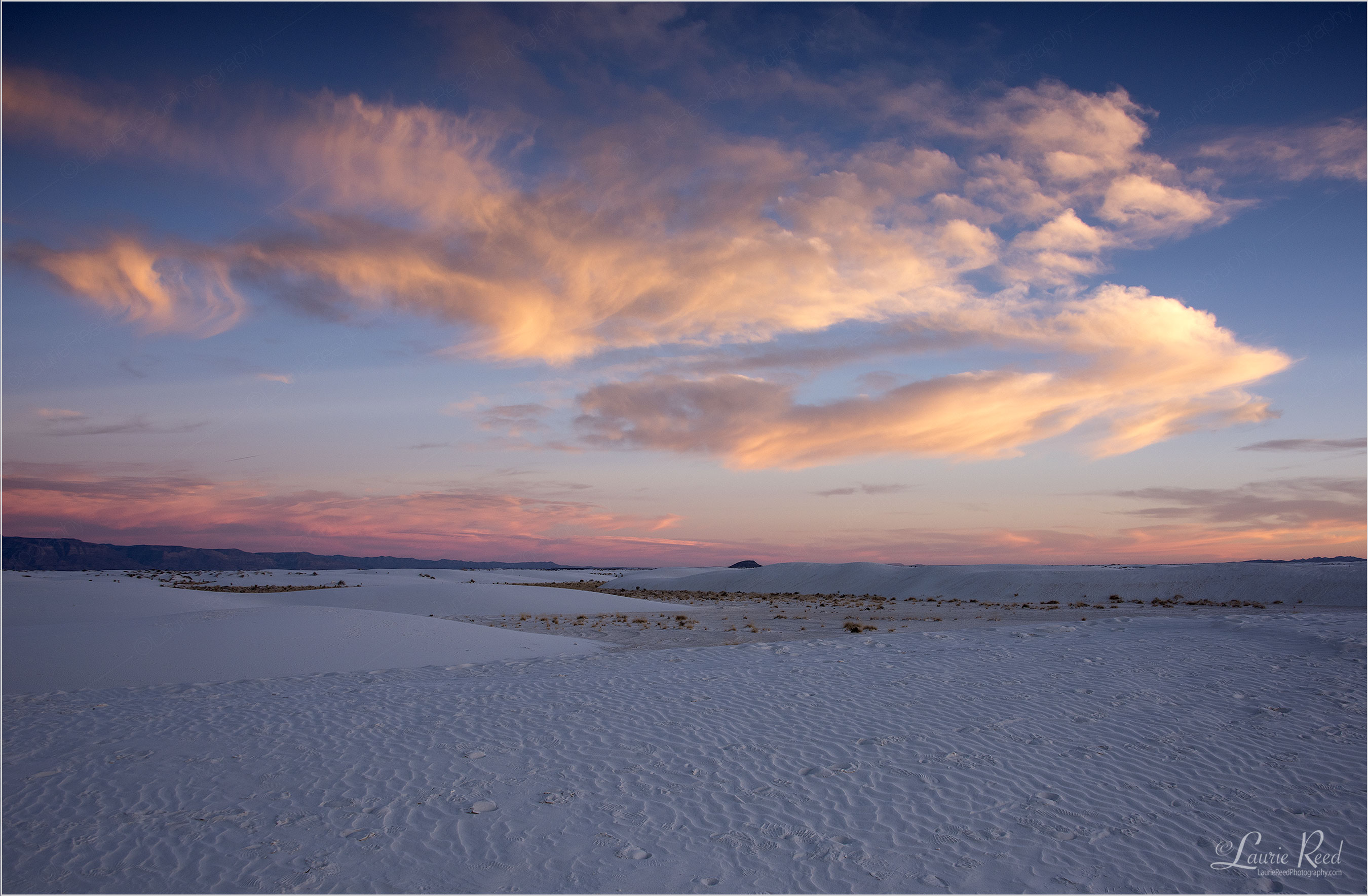 © Laurie Reed Photography