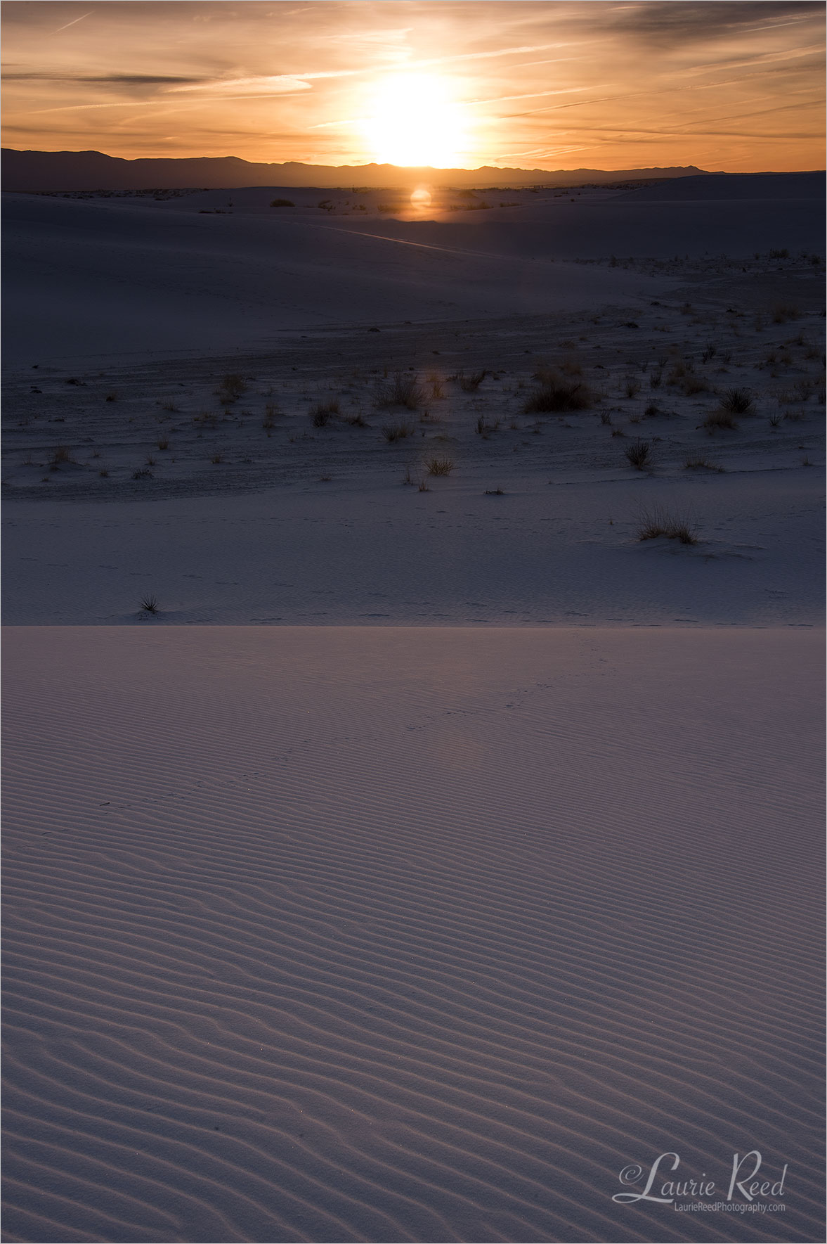 © Laurie Reed Photography - Chaco Doors