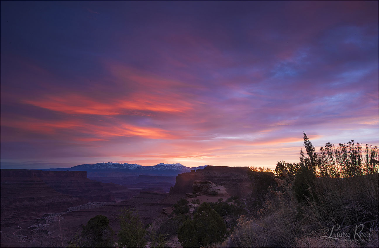 Canyonlands N.P. - © Laurie Reed Photography