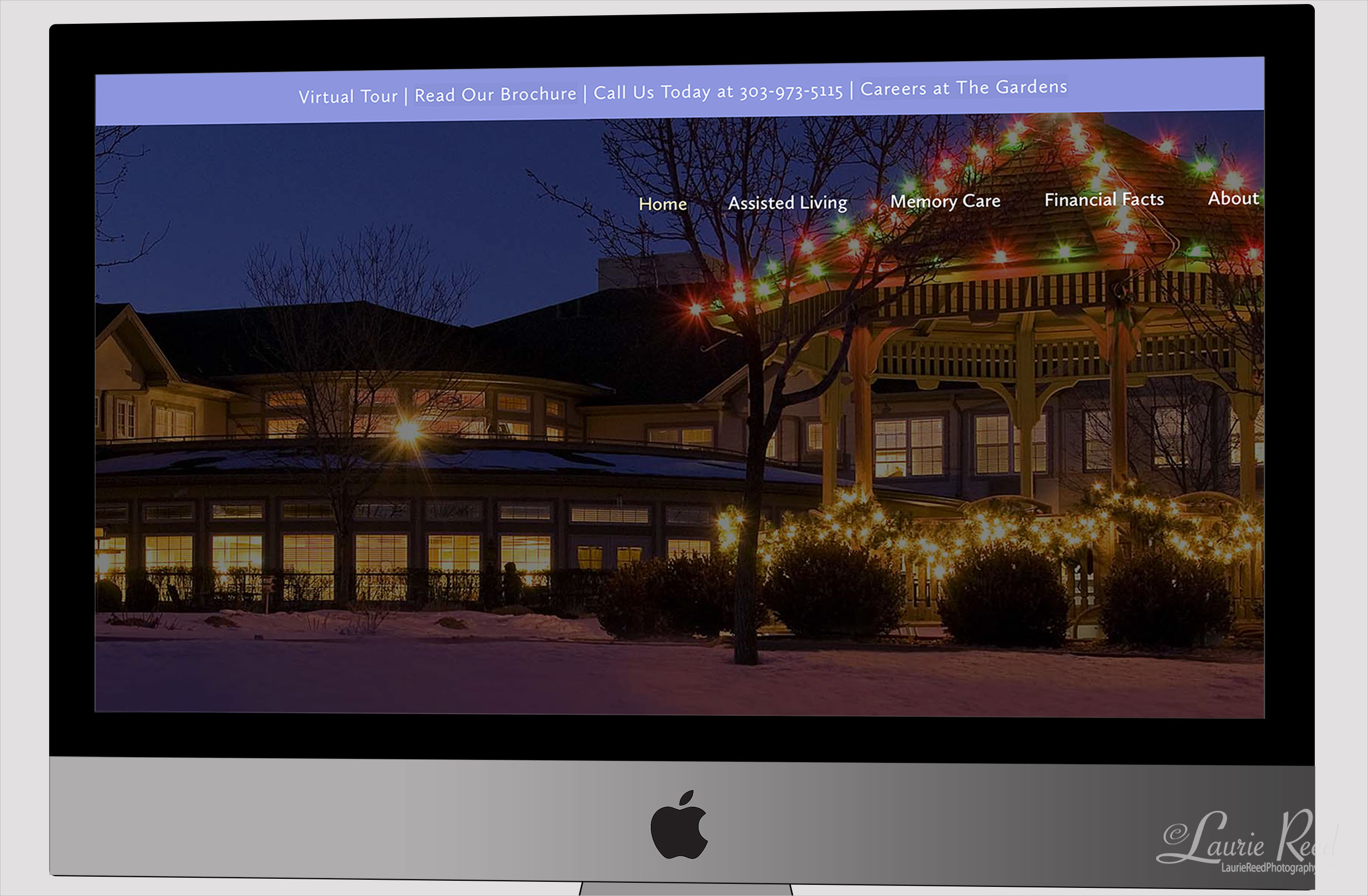 Website Photography | Laurie Reed Photography