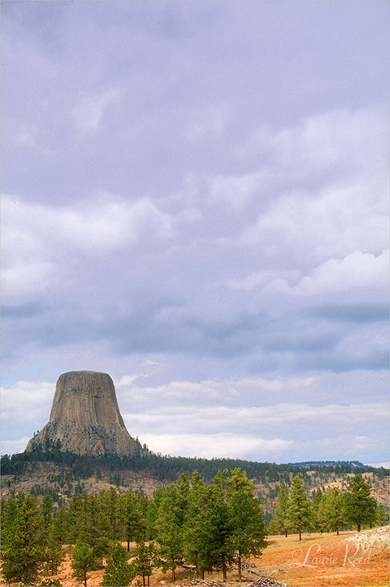 Devils Tower - © Laurie Reed Photography