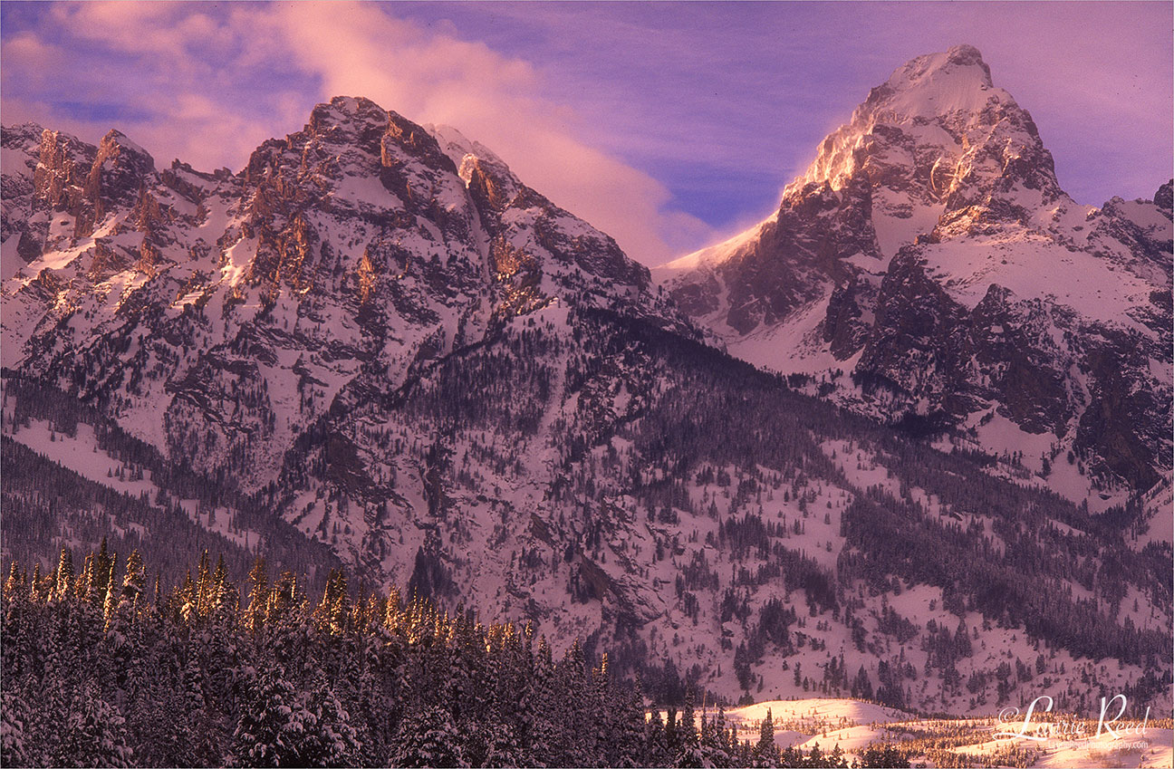 Winter Tetons - © Laurie Reed Photography