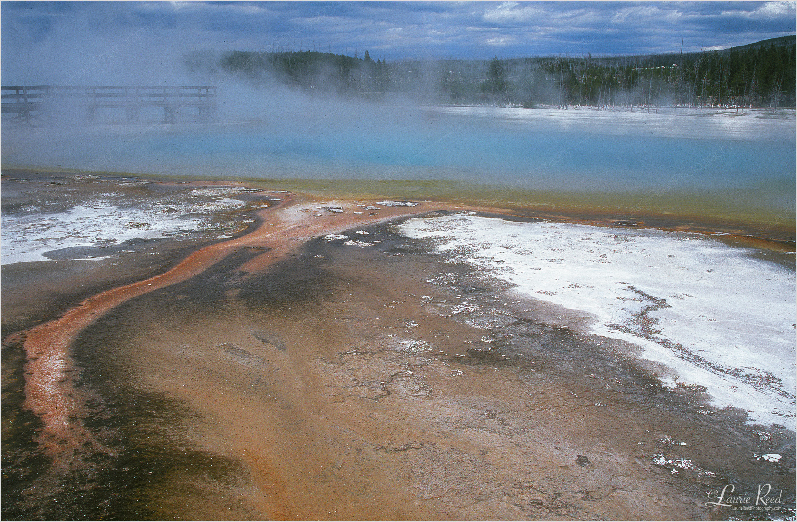 Yellowstone - © Laurie Reed Photography